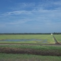 Agricultural Land